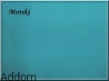 turkus.jpg
