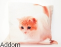 poszewki w kotki rudy kotek.jpg
