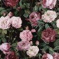 aksamit-czarny-zaslonowy-w-roze.jpeg